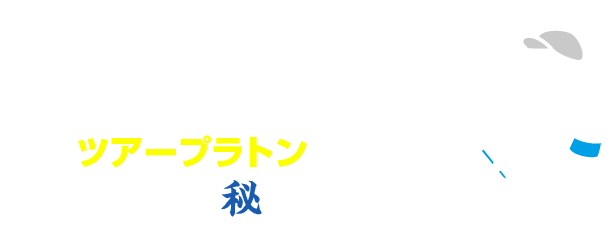 VztfBSVĔԋL WSÑcA[vgقڊS}郌|[gI